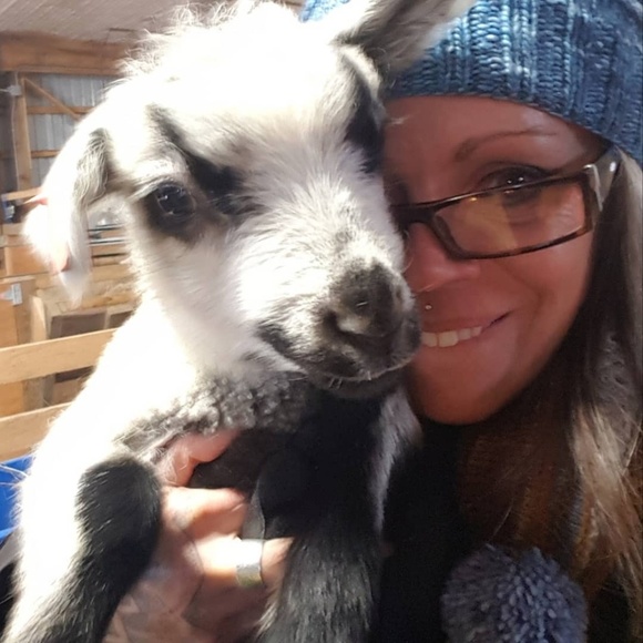 Meet your Posher, Sophie - Picture 1 of 1